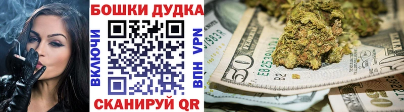 Бошки Шишки MAZAR Сусуман